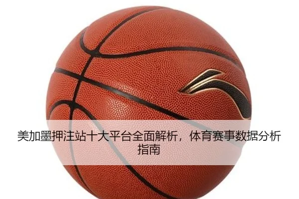 美加墨押注站十大平台全面解析，体育赛事数据分析指南