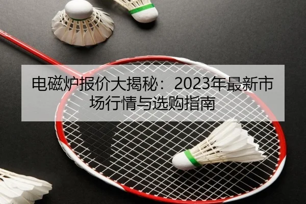 电磁炉报价大揭秘：2023年最新市场行情与选购指南