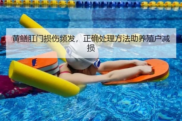 黄鳝肛门损伤频发，正确处理方法助养殖户减损