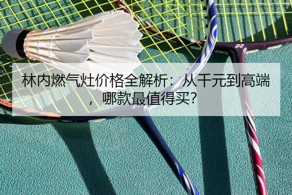林内燃气灶价格全解析：从千元到高端，哪款最值得买？