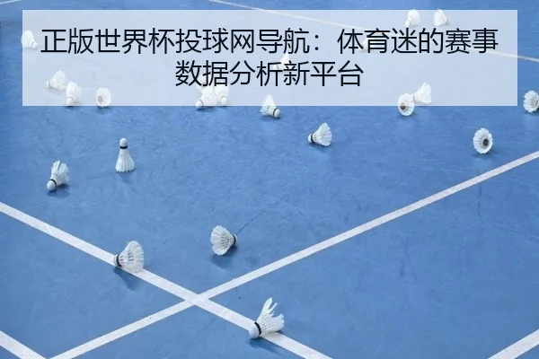 正版世界杯投球网导航：体育迷的赛事数据分析新平台